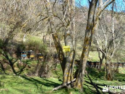 Río Lozoya; Pontón Oliva; Senda Genaro; senderismo fin de semana; senderismo organizado;rutas de s